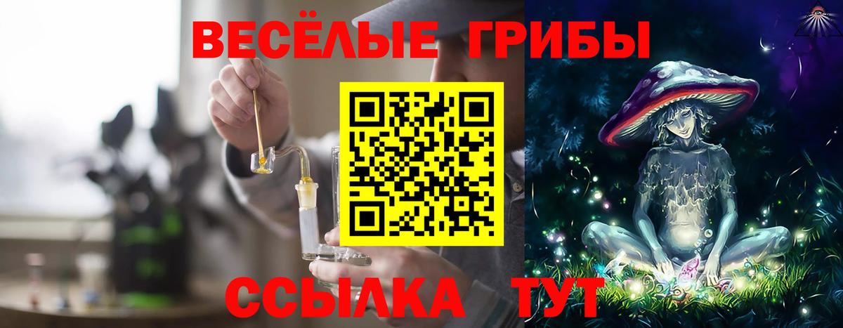 Галлюциногенные грибы MAGIC MUSHROOMS Анжеро-Судженск